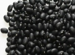 黑芸豆