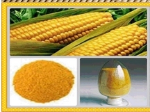 玉米蛋白粉