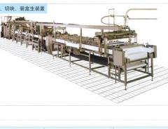 木棉豆腐全自动生产装置