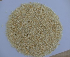 garlic granules 8-16mesh