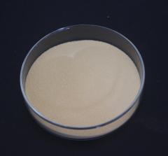 乳清蛋白肽