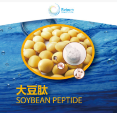 大豆肽 Soybean Peptide