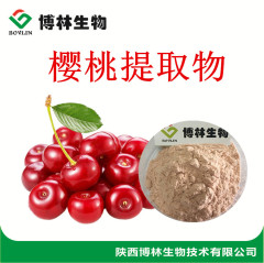 针叶樱桃提取物 天然VC17%-25% 针叶樱桃粉