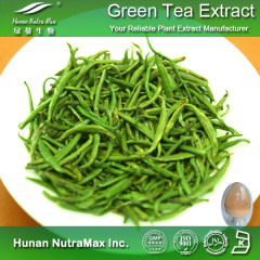 绿茶提取物20%~90% 儿茶素