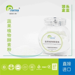 蔬果植物酵素粉 复合发酵果蔬粉 中国台湾省进口 固体饮料