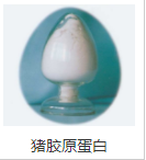 豬膠原蛋白
