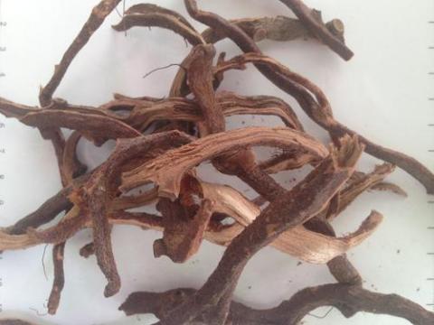 骨碎補提取物