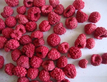 冻干树莓