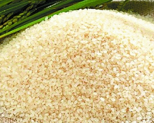 素食米胚蛋白