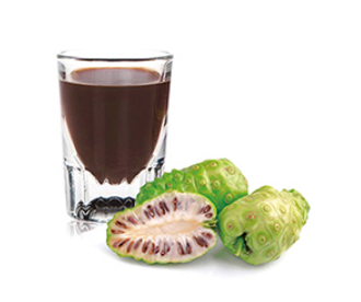 诺丽酵素液（浓缩）