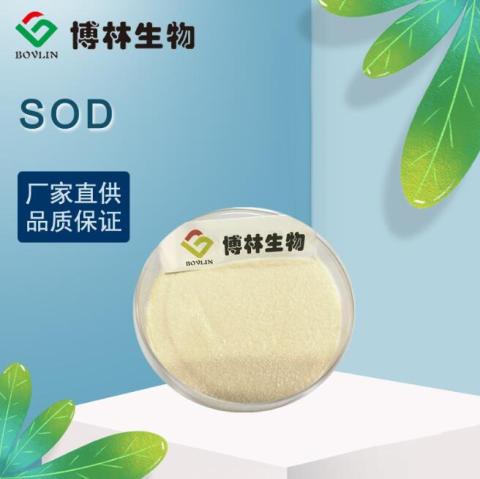 SOD超氧化物歧化酶 50000IU/G SOD酶 活性酶 食品级 厂家直销包邮