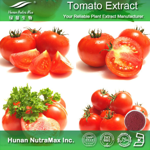 番茄提取物6% 茄红素 