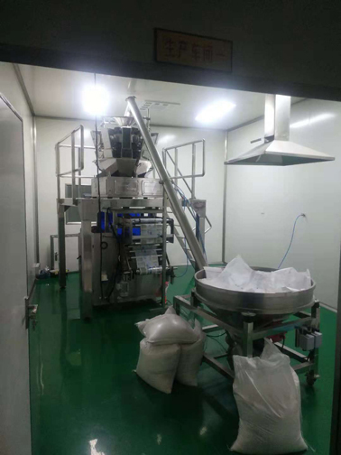 DJ-10D250全自动颗粒袋装机