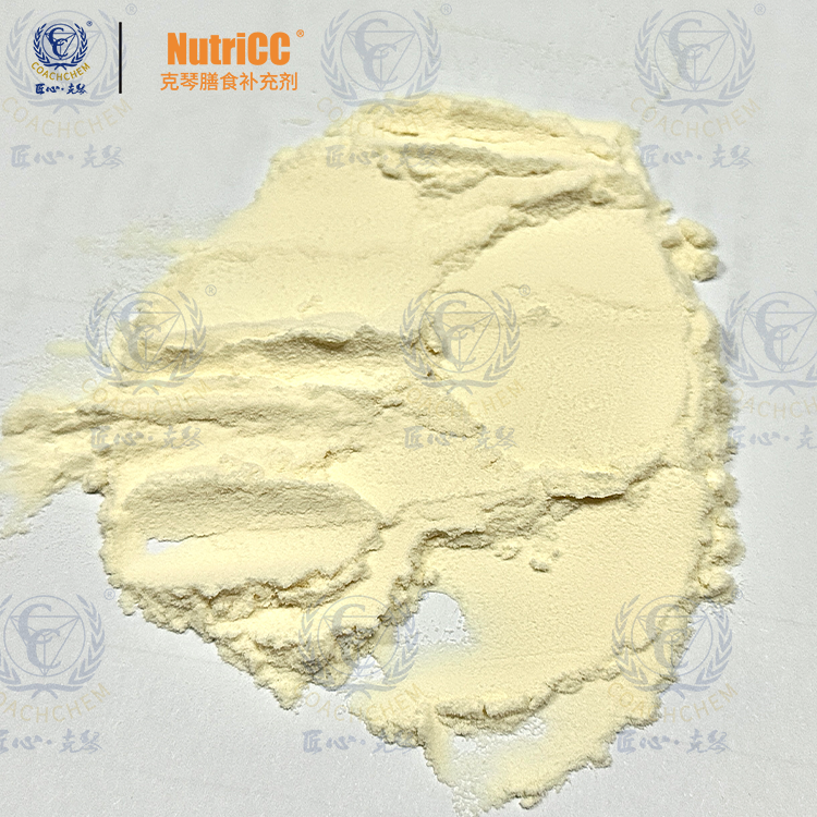NutriCC®-NAD 50C（磷脂包裹体）