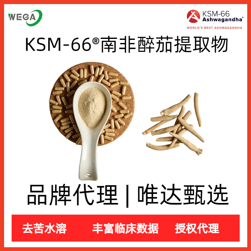 KSM-66南非醉茄提取物醉茄内酯品牌原料印度人参粉末