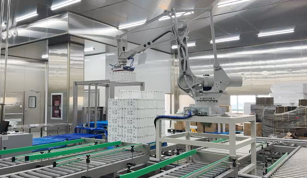 挞皮装箱码垛柔性自动化生产线