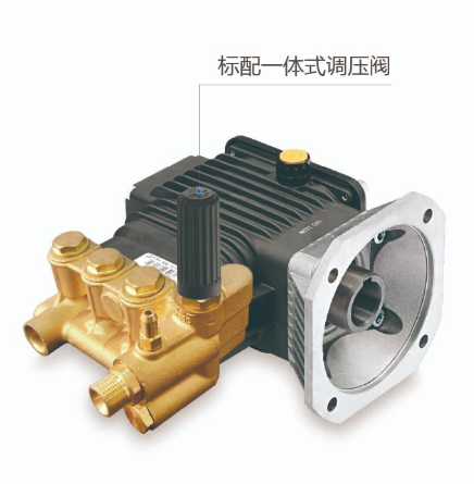 柱塞泵RS 1450 转 C 轴 28mm 空心轴+F16法兰 - 适用于电机 MEC 100-112