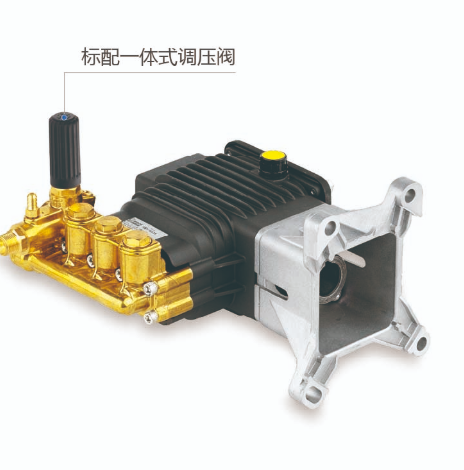 柱塞泵RSV 3400 转 D 轴 1" 标配F40汽油机法兰