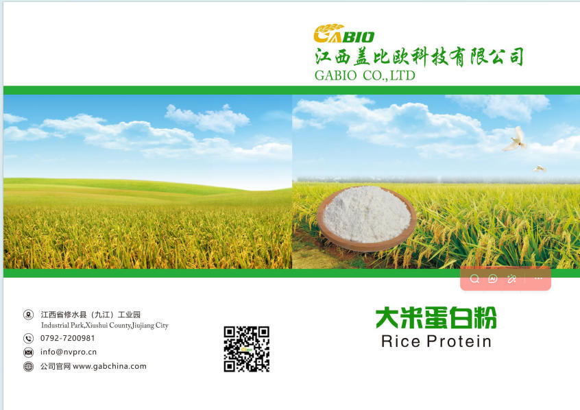 GABIO COMPANY INTRODUCTION