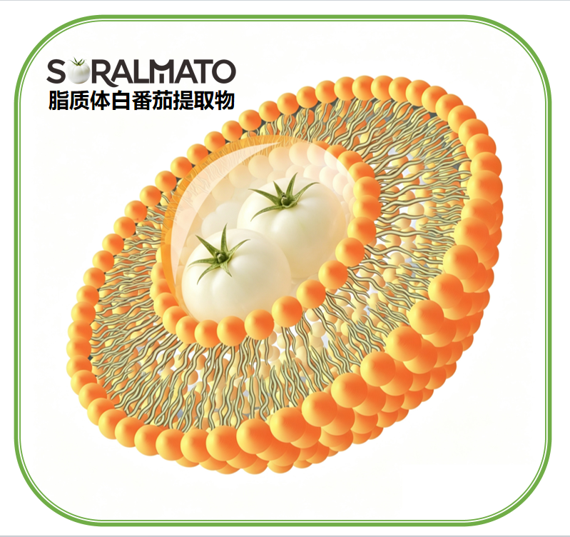 SORALMATO水晶白番茄提取物 | 脂质体SORALMATO白番茄浓缩粉