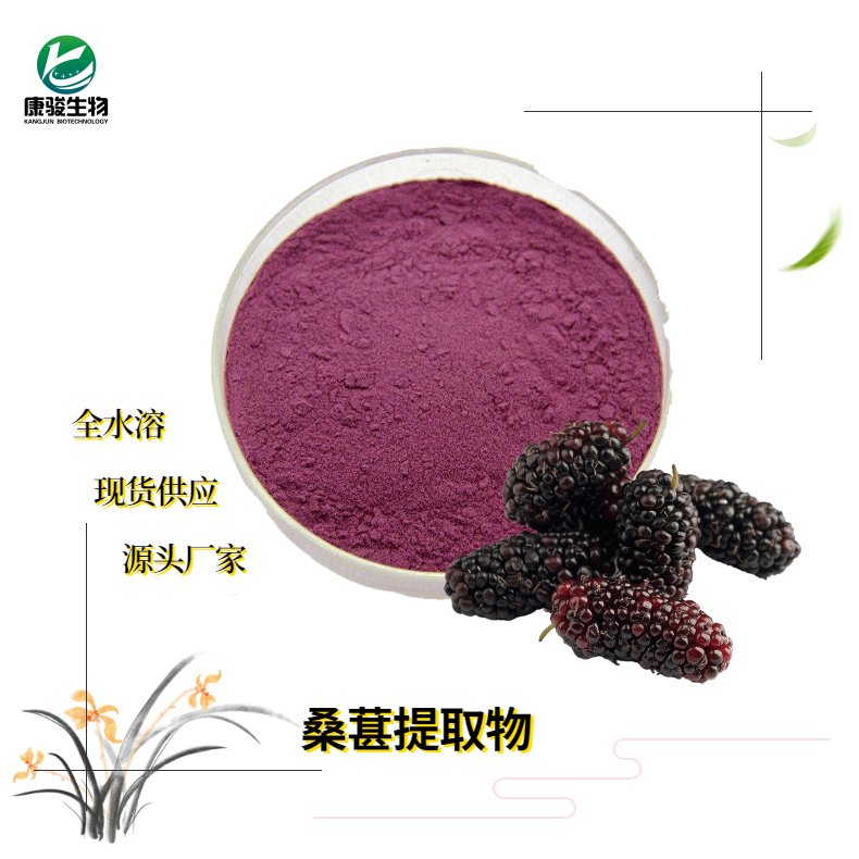 食品级桑葚果粉 陕西润泽鑫启 无香精色素