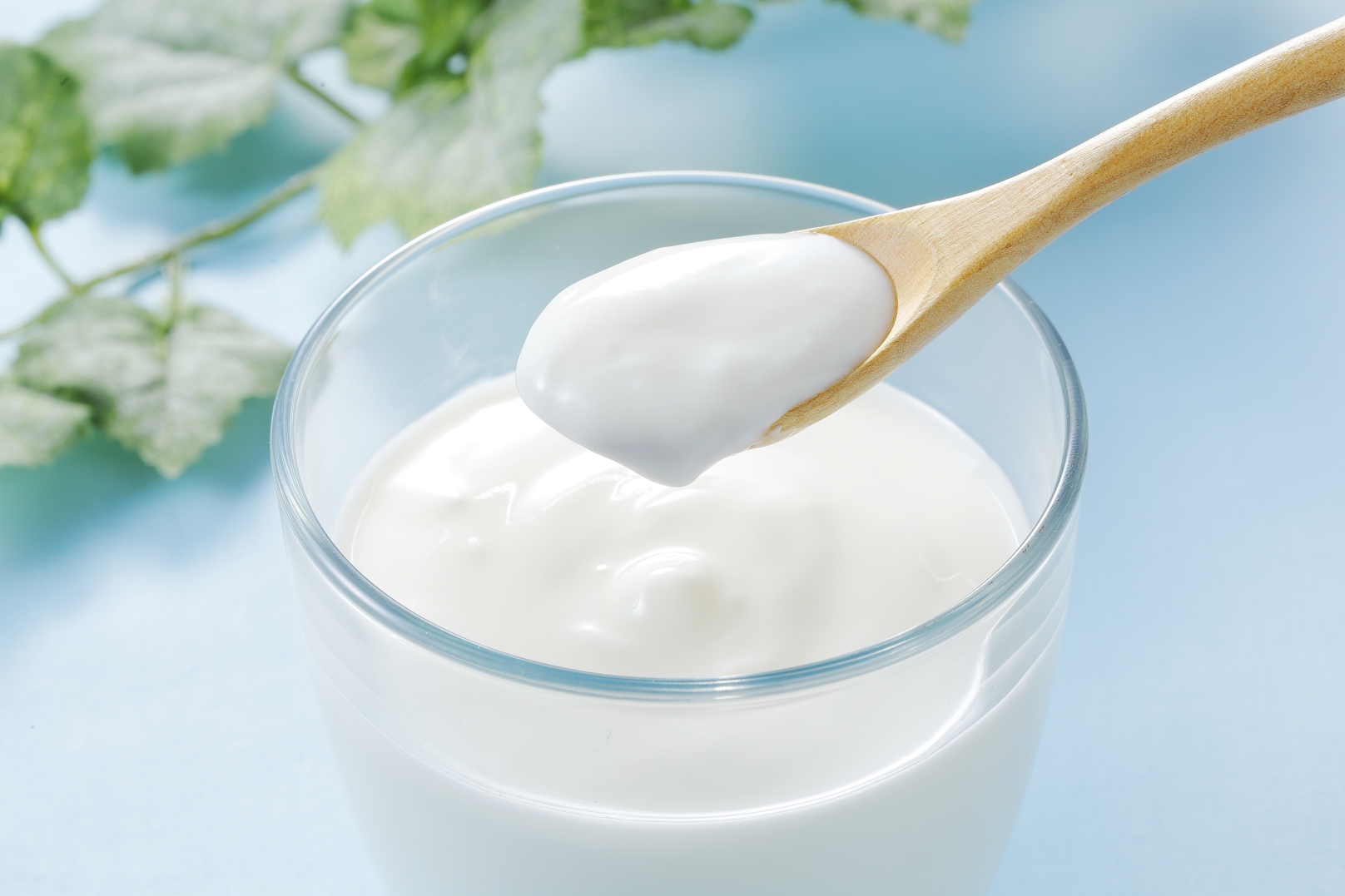 From probiotic red sea to medicine and food homologous blue sea, how to break the yogurt industry?