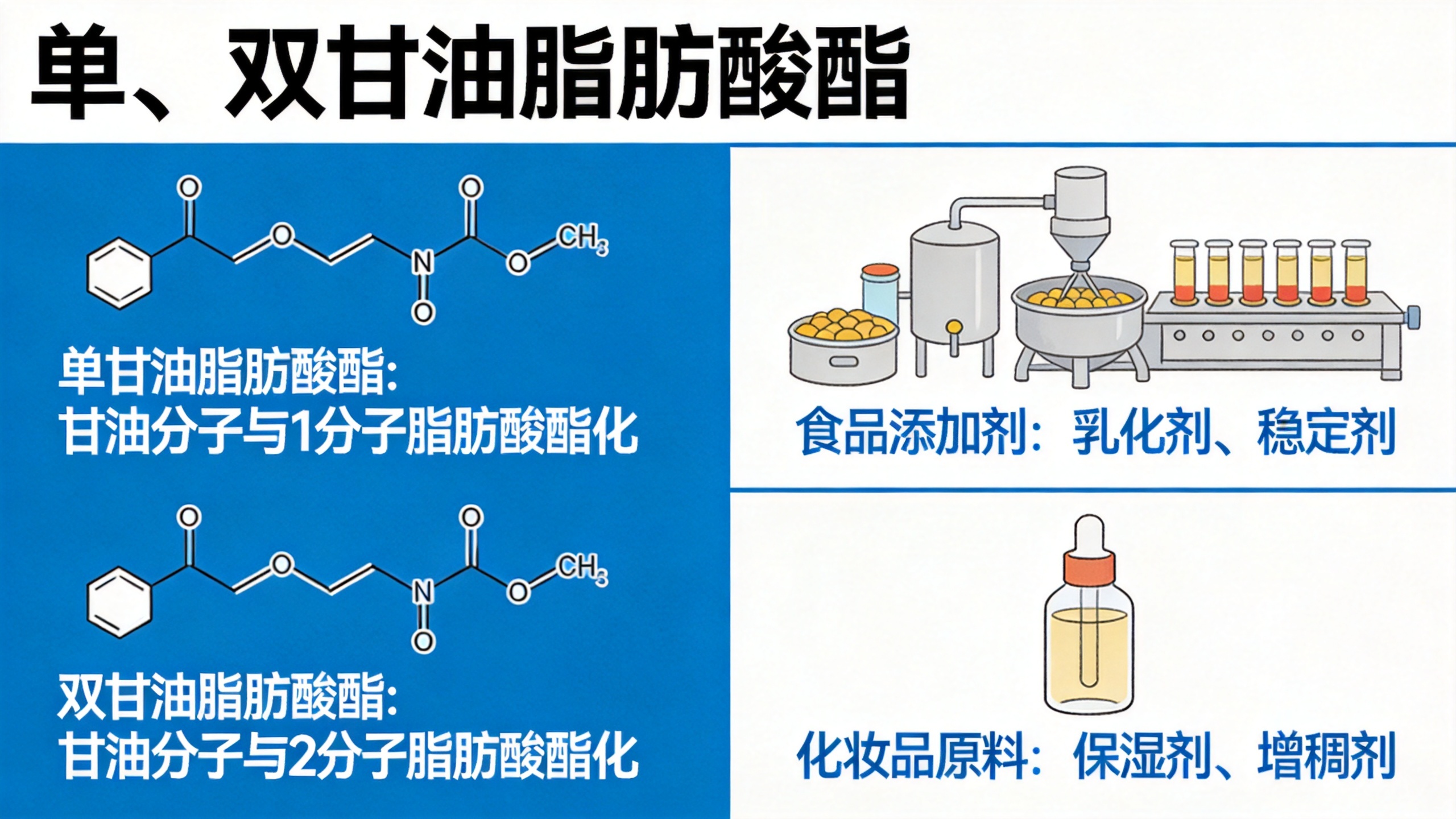 Mono- and Diglycerides of Fatty Acids